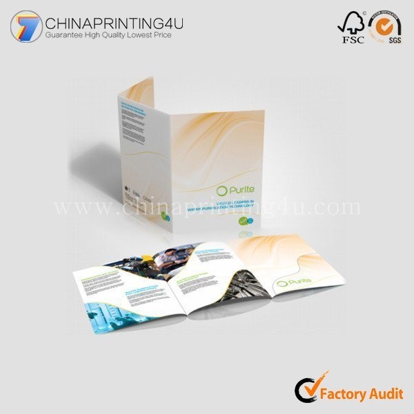 China Professional Flyer Printer Folding Flyer Custom