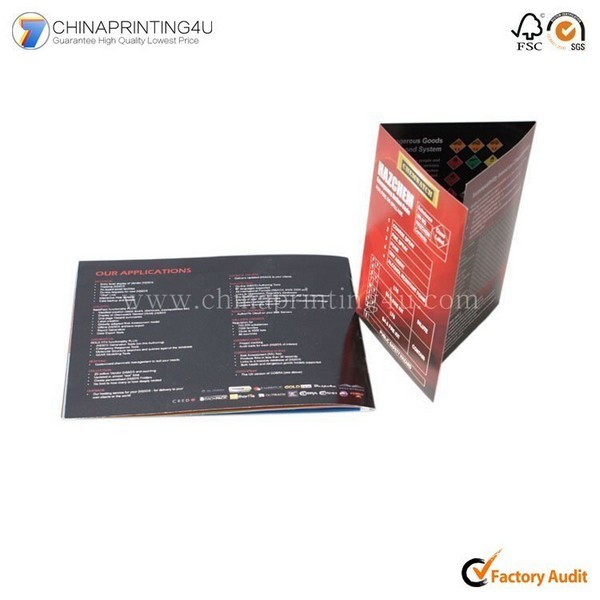Professional Cheap Leaflet Printing China Direct Printing