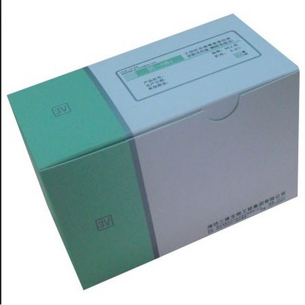 Paper Pill Box
