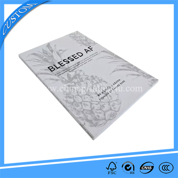 Chinese Printers Cheap Perfect Binding Softcover Exercise Book Printing