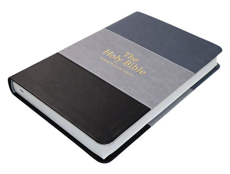 leather bound bible book